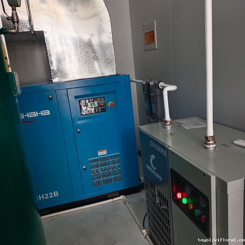 1682480301351030.jpg 1682480301351030.jpg